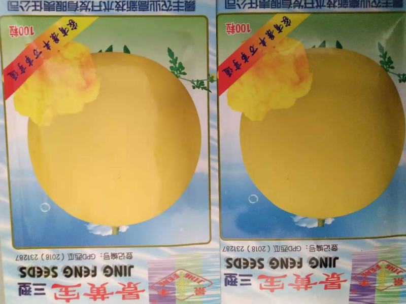 金凤西瓜种苗，礼品西瓜种苗西瓜种苗（一袋10克）