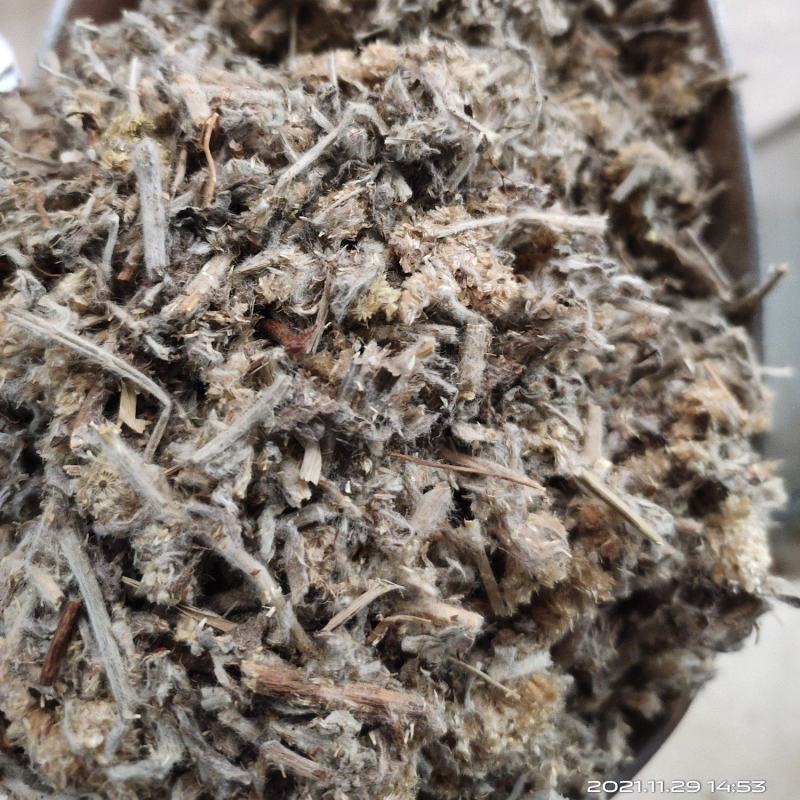 [文斌药业]佛耳草又名鼠曲草冷背货批发零售