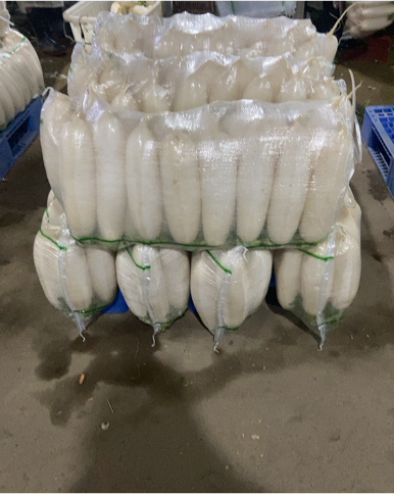 【萝卜】湖北精品白萝卜产地直销无中间商【坏单包赔】