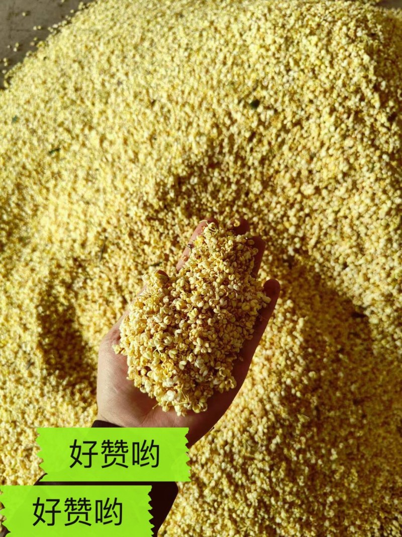 5A级优质桂花干新货上架