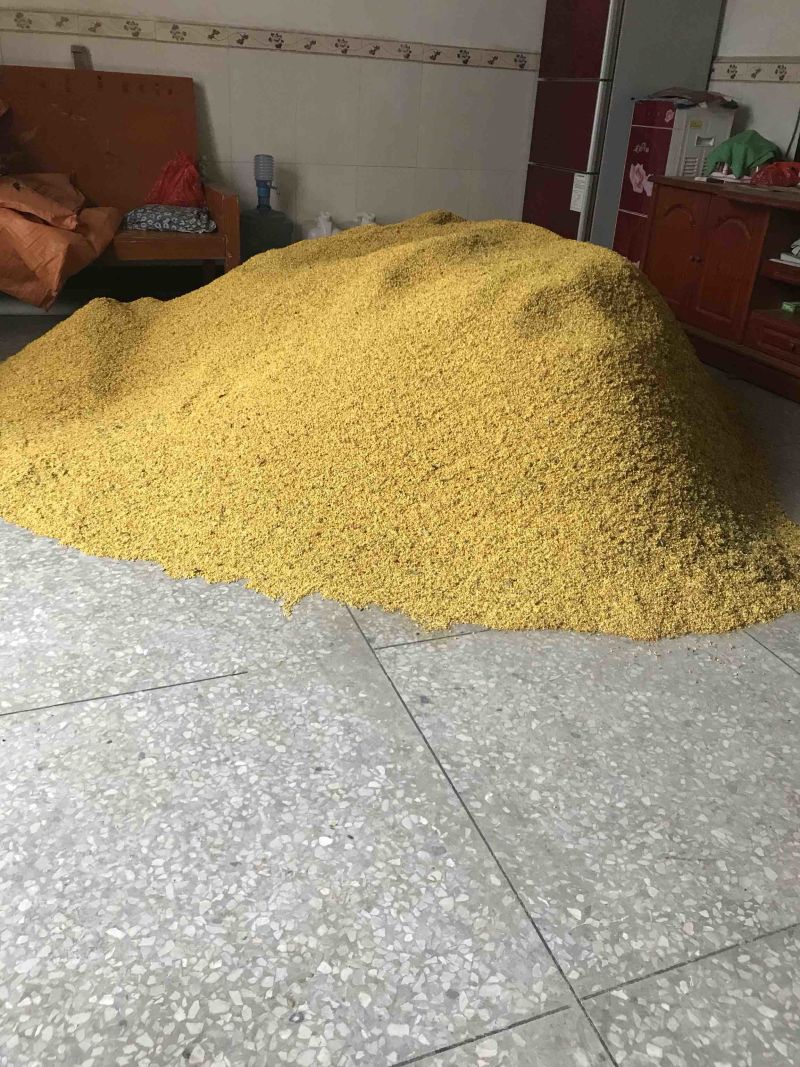 5A级优质桂花干新货上架