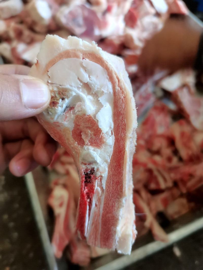 甘肃民勤羊肉，不腥不膻，肉质鲜嫩，羊腿，羊排欢迎老板来电