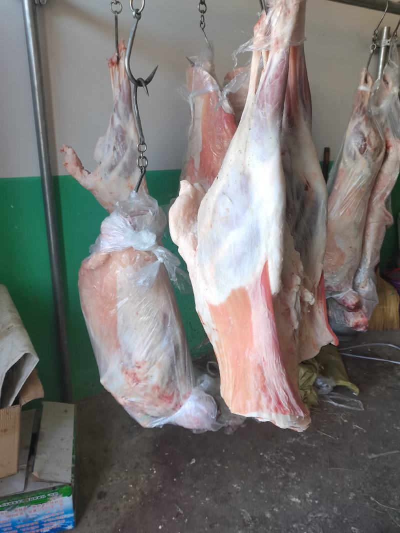甘肃民勤羊肉，不腥不膻，肉质鲜嫩，羊腿，羊排欢迎老板来电