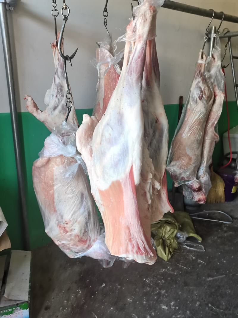 甘肃民勤羊肉，不腥不膻，肉质鲜嫩，羊腿，羊排欢迎老板来电