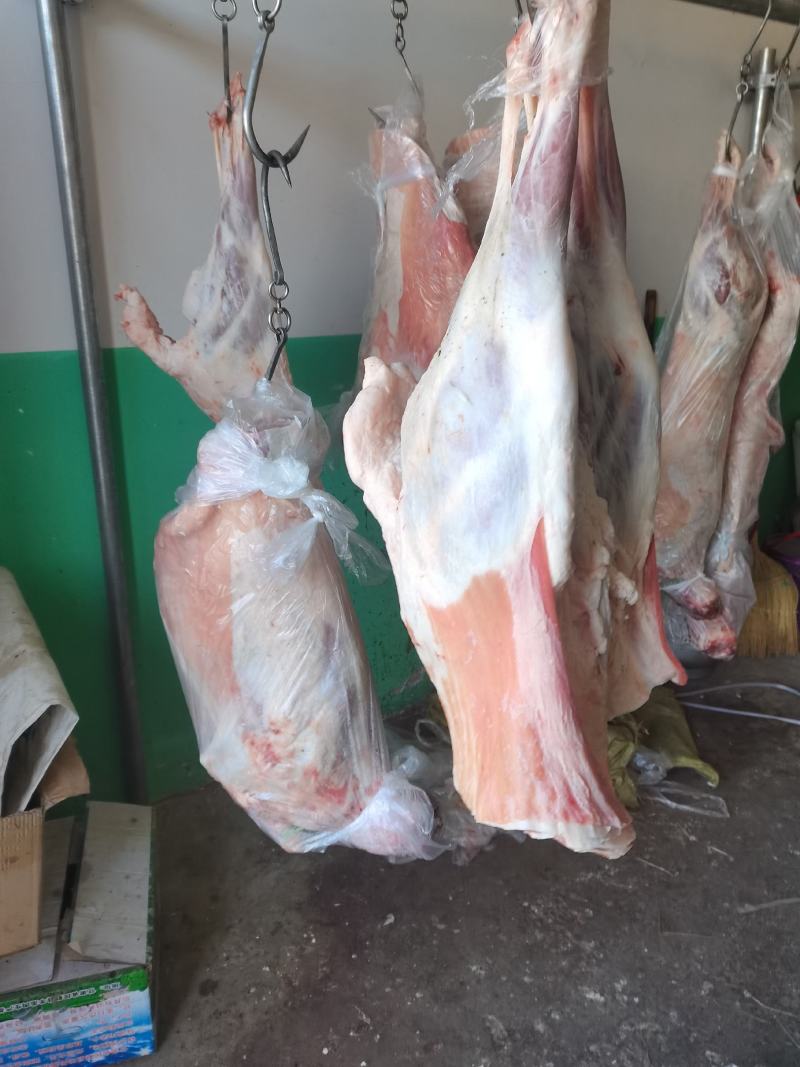 甘肃民勤羊肉，不腥不膻，肉质鲜嫩，羊腿，羊排欢迎老板来电