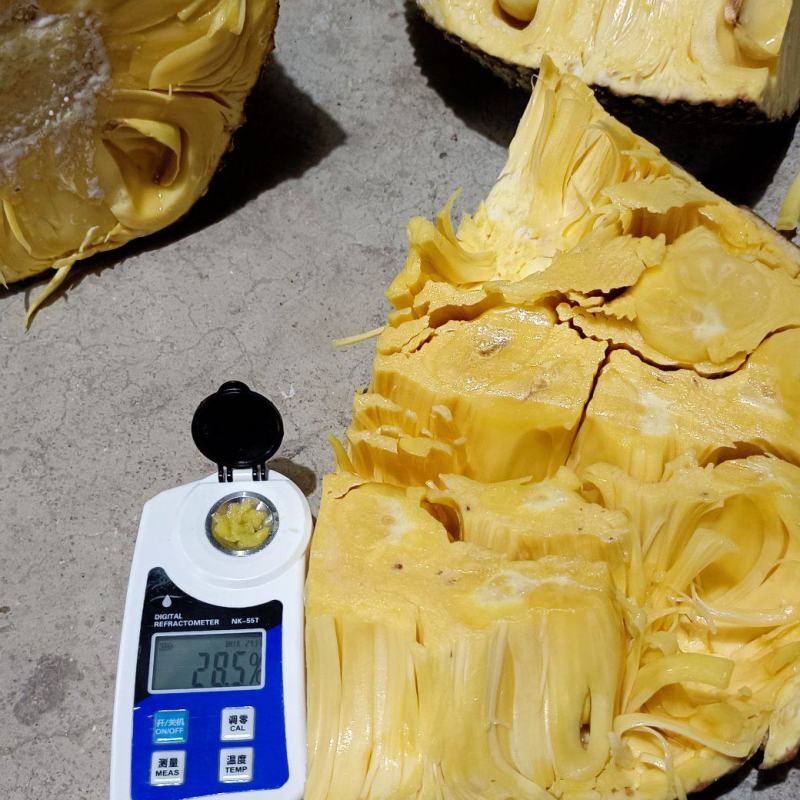 大量上市海南陵水产地1号菠萝蜜，好品质香甜爽口，价格实惠