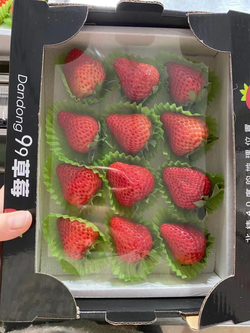【精品】红颜草莓，烘焙果量大从优，基地直发，对接商超批发