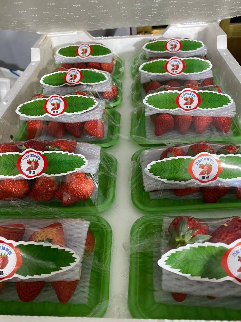 【精品】红颜草莓，烘焙果量大从优，基地直发，对接商超批发