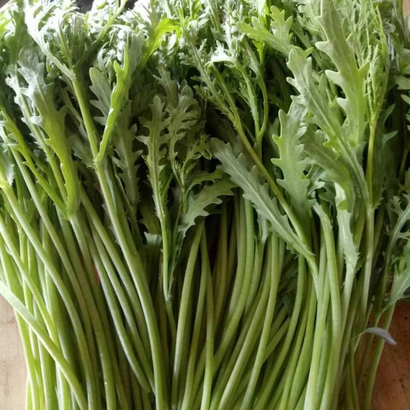 茼蒿菜，精品菜，全国发货，保质保量，质量好，