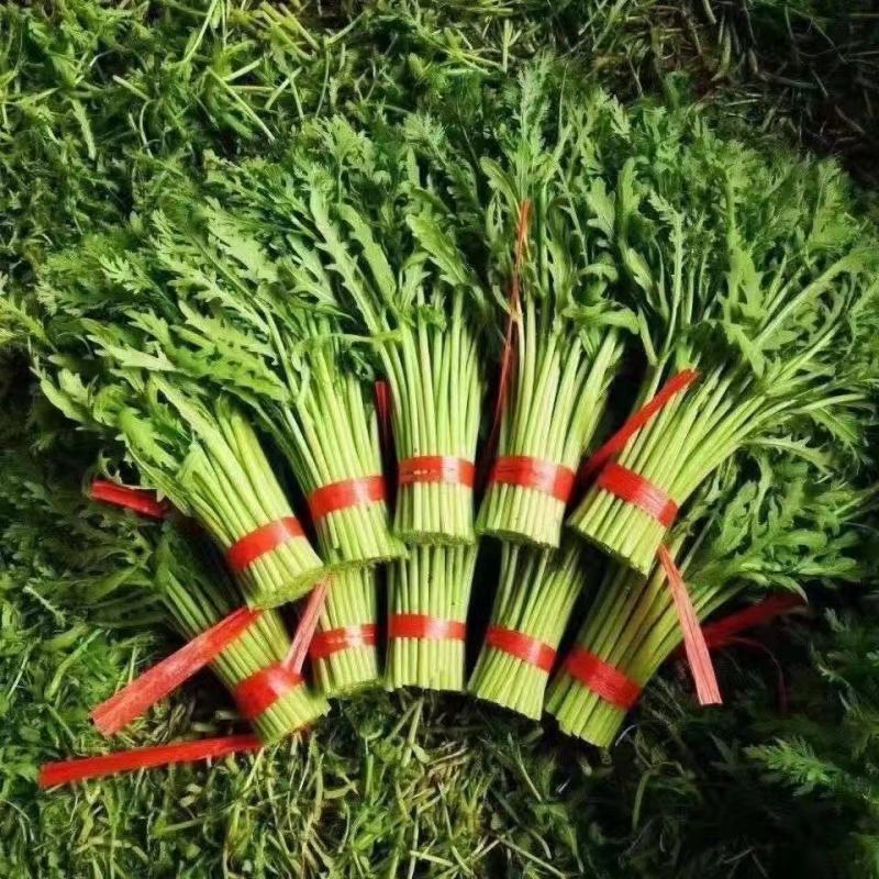茼蒿菜，精品菜，全国发货，保质保量，质量好，