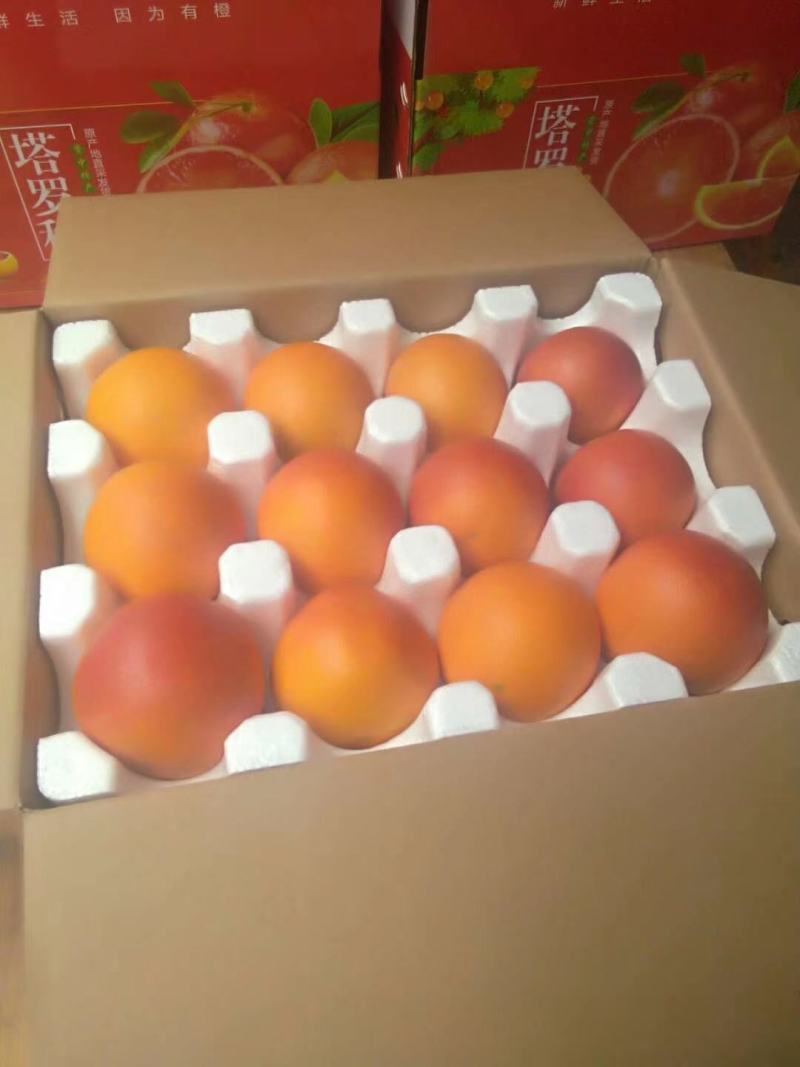 血橙塔罗科3号血橙资中血橙早熟品种现货上市