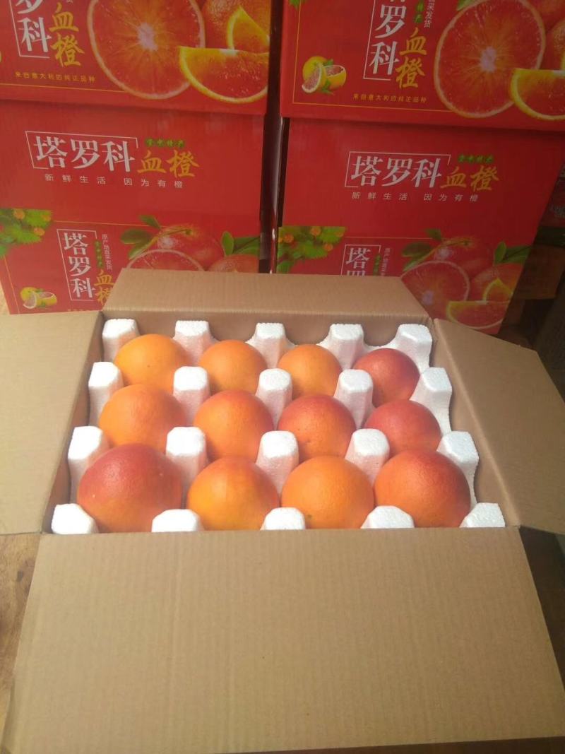 血橙塔罗科3号血橙资中血橙早熟品种现货上市