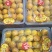 【精选优选】广东皇帝柑贡柑过机精选精品打腊果大量供应