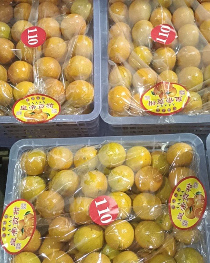 【精选优选】广东皇帝柑贡柑过机精选精品打腊果大量供应