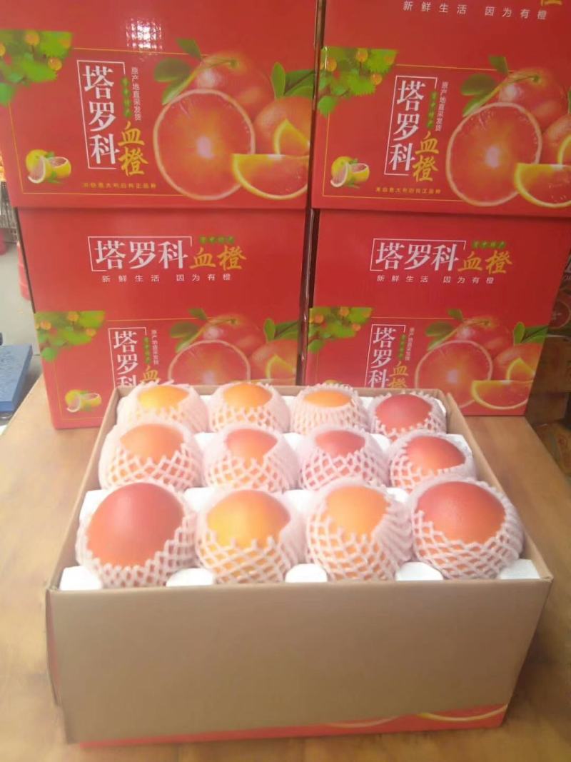 资中血橙塔罗晚熟8号血橙百万斤订货开始早熟塔罗科血橙