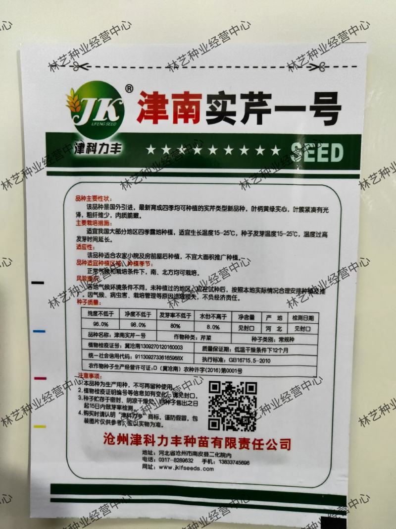 津南实芹一号芹菜种子香芹四季香芹种籽大田高产四季