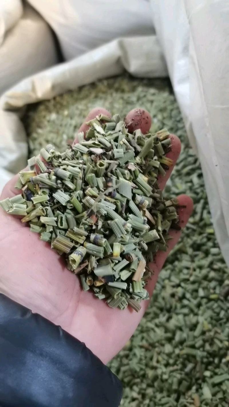 木贼草节节草笔筒草节骨草一公斤起批