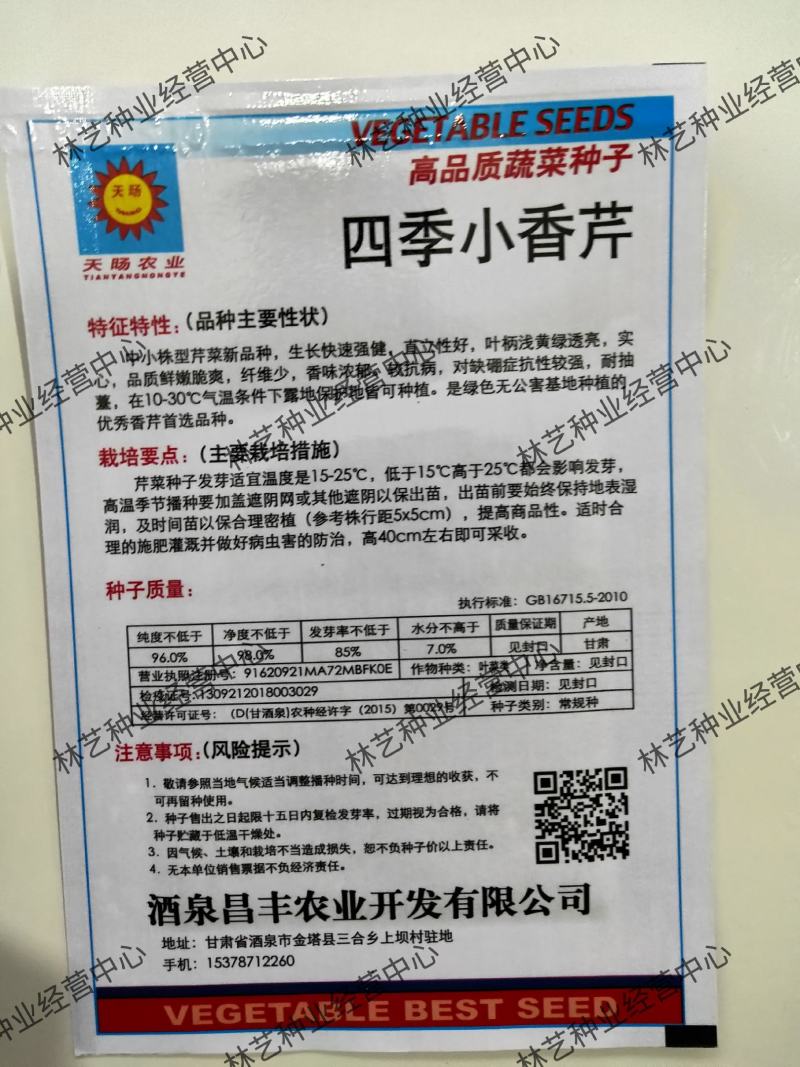 四季小香芹种子耐热芹菜苗种籽春秋季易种青菜籽蔬菜种孑