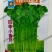 四季小香芹种子耐热芹菜苗种籽春秋季易种青菜籽蔬菜种孑