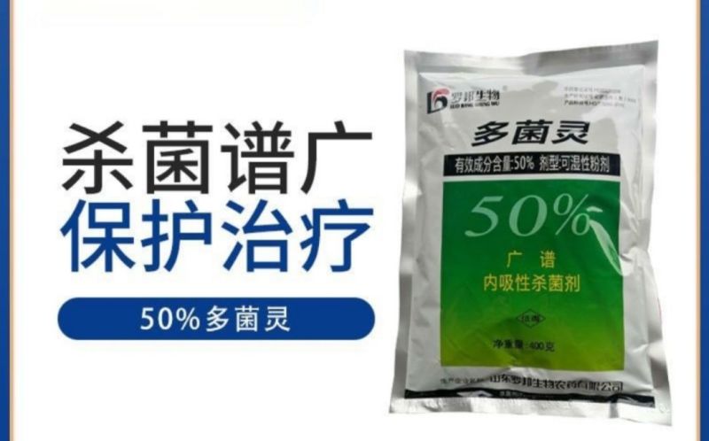 50%多菌灵白粉病炭疽病纹枯病叶斑病叶枯病赤霉病杀菌剂