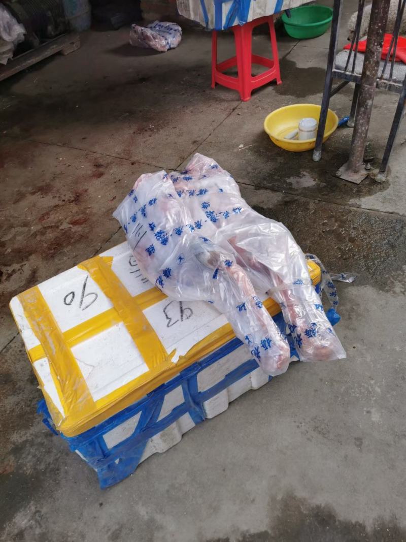 老御头正宗鲜梅花鹿腿.鹿排骨【整只腿/整扇排骨】空运走货