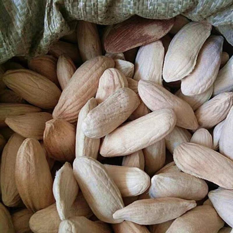 芒果核保证质量冷背药材齐全不满意可退换货