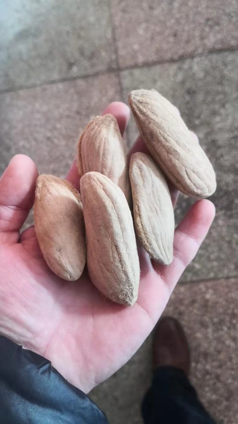 芒果核保证质量冷背药材齐全不满意可退换货