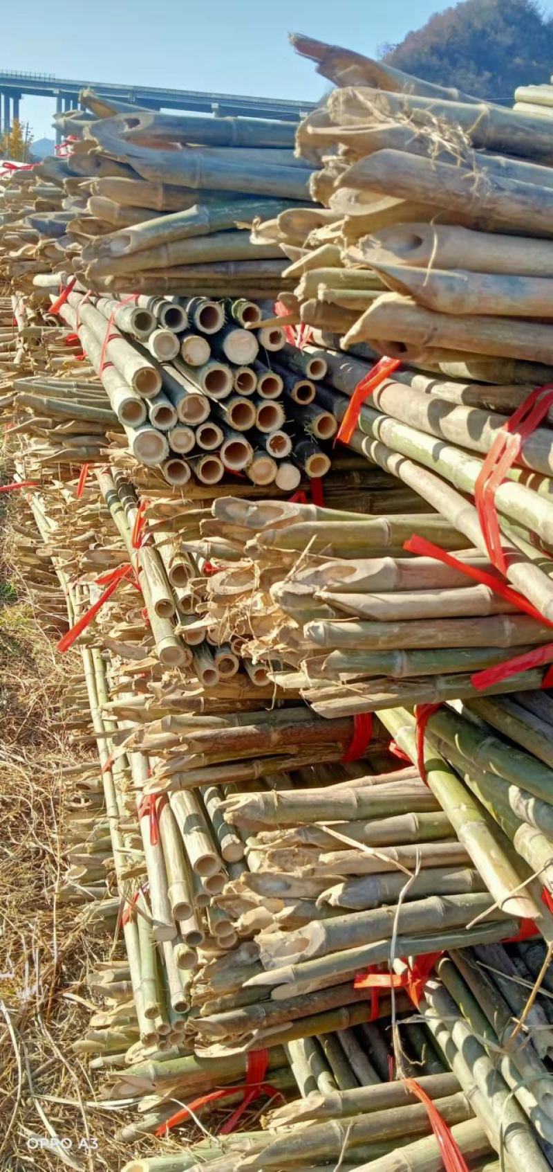 【精品】竹竿批发，一手货源，质量保证，诚心交易菜架杆