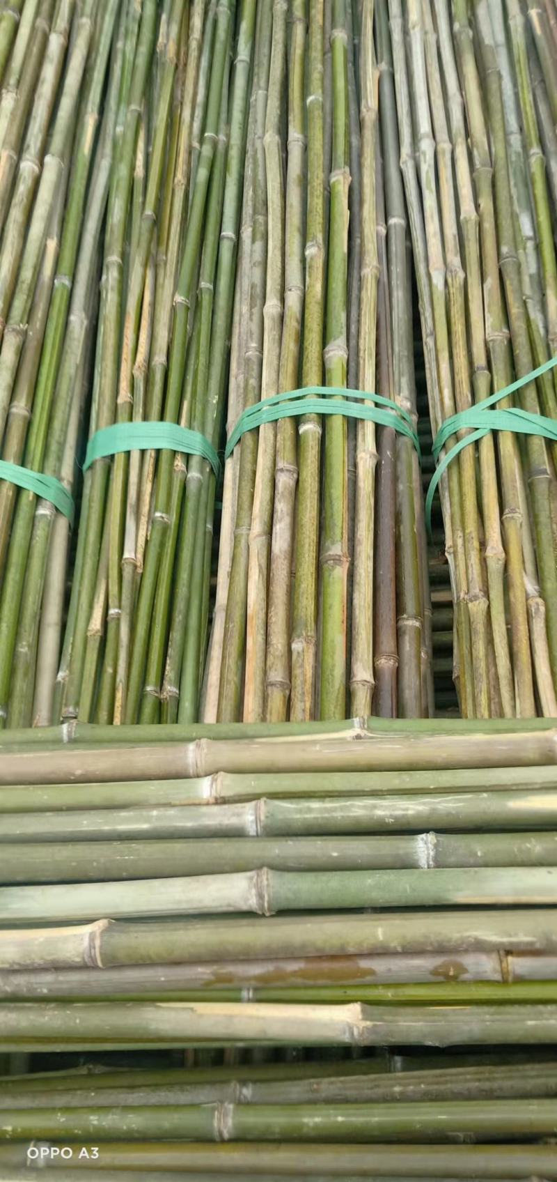 【精品】菜架竹，一手货源，诚心交易，量大从优竹竿撑杆