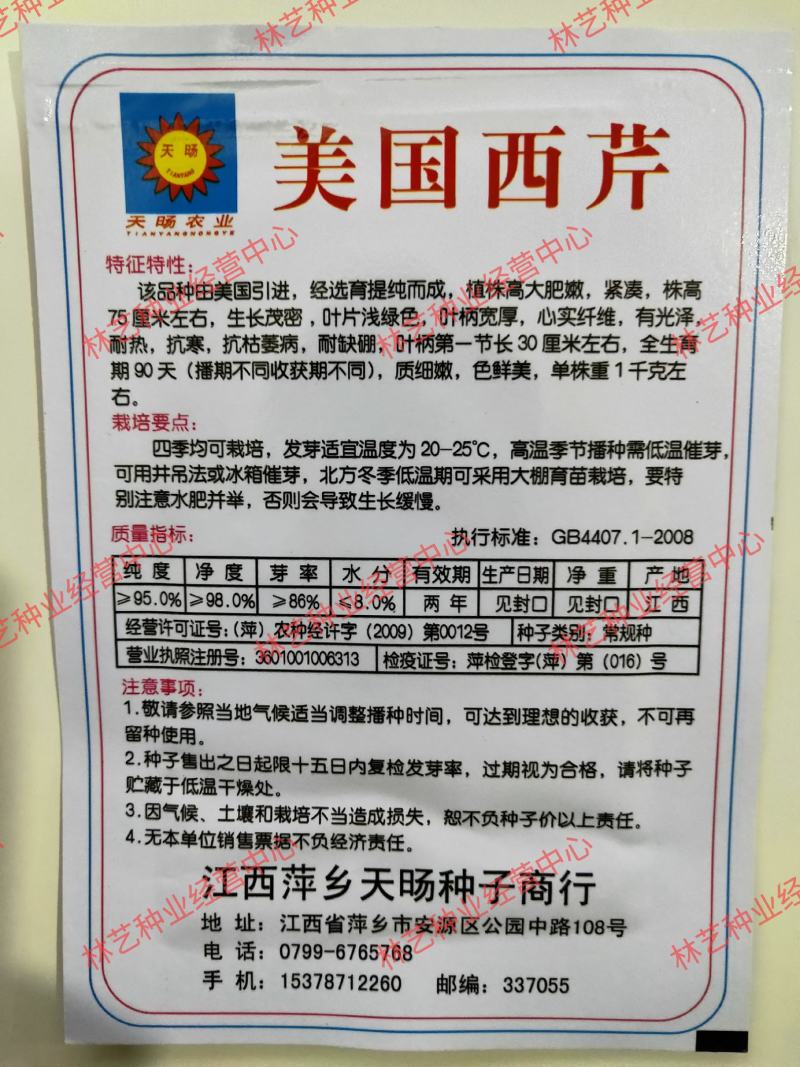 西芹种子美国西芹种子文图拉芹菜种子春秋四季播种高产蔬
