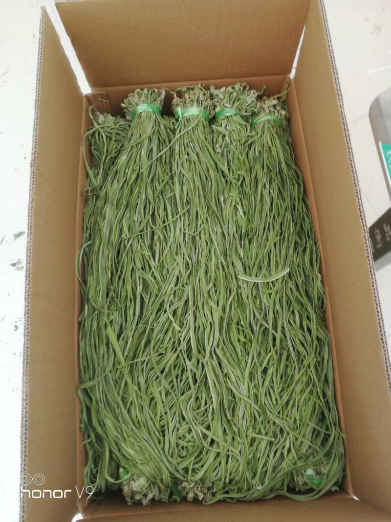 贡菜苔菜