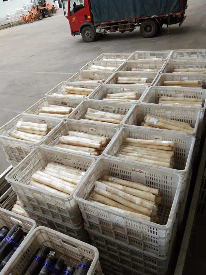 【好货】精品真空包装甘蔗口感甜度高诚信经营欢迎选购
