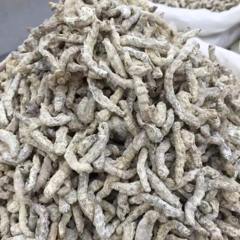 僵蚕中药材白僵蚕炒僵蚕无硫无漂白
