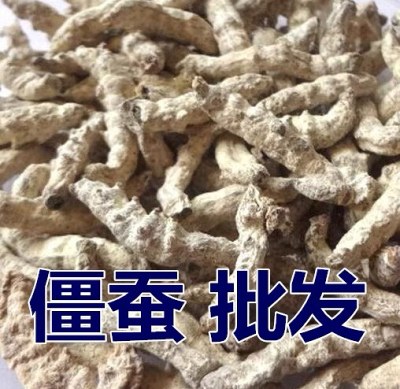 僵蚕中药材白僵蚕炒僵蚕无硫无漂白