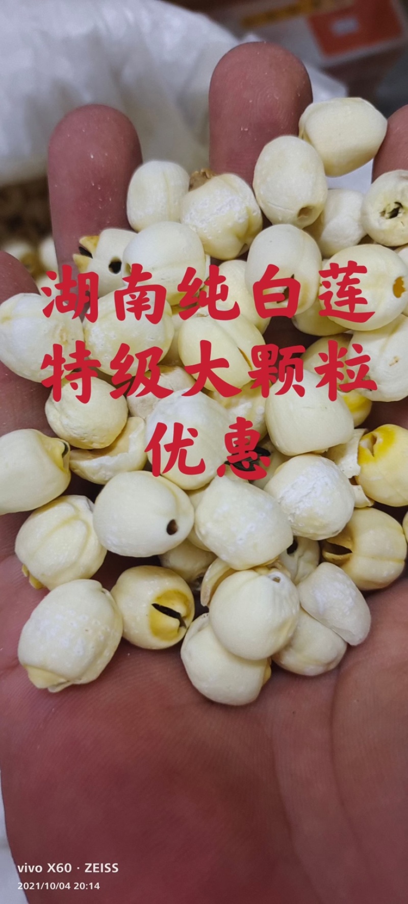 白莲子湖南、特级通心纯白大粒清甜、新鲜、促销、省内包邮