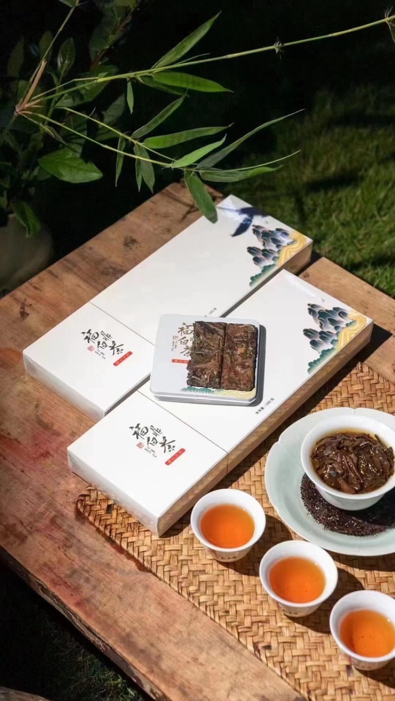 福鼎白茶小方片2018年老白茶铁盒装网红代发越陈越香