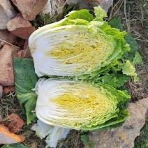 黄芯大白菜，货源充足，产地一手货源，承接市场超市团购