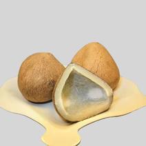 椰子印度神椰产地直供质量保证货源充足适用煲汤火锅店
