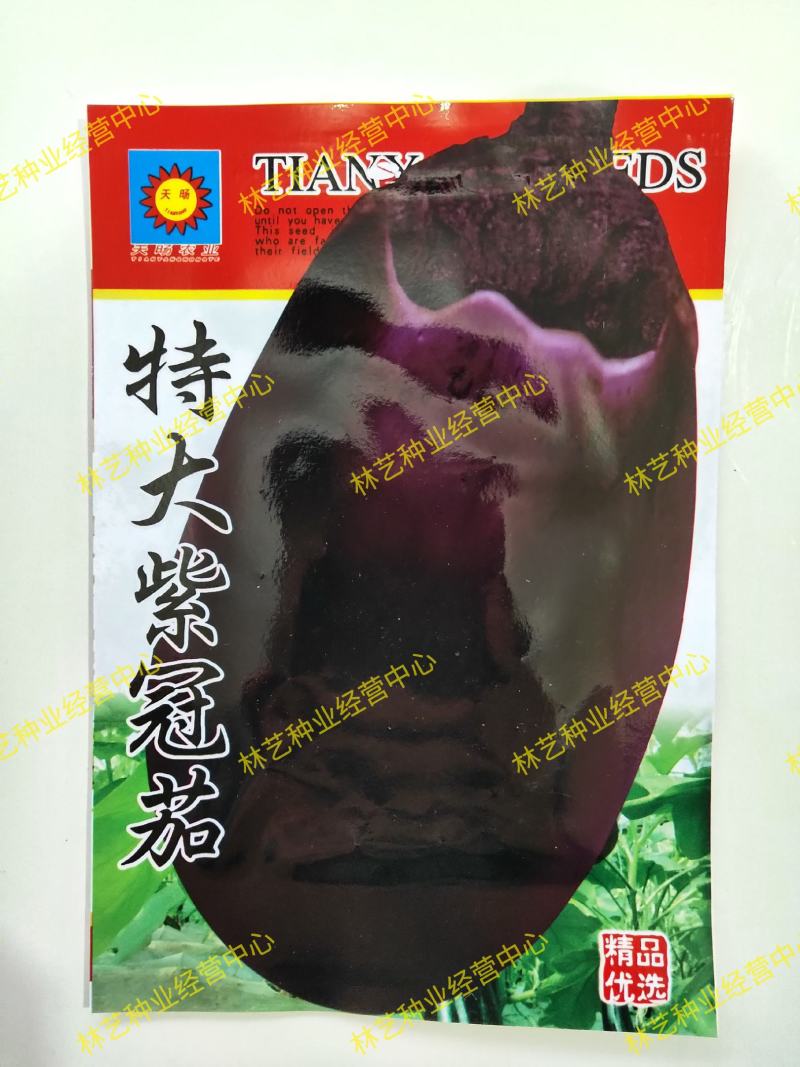 原装特大紫灌茄子种子早春茄子牛心茄种籽高产抗病春秋四季
