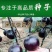 黑圆茄种子紫黑圆茄种子黑龙快圆茄蔬菜种子大圆茄子
