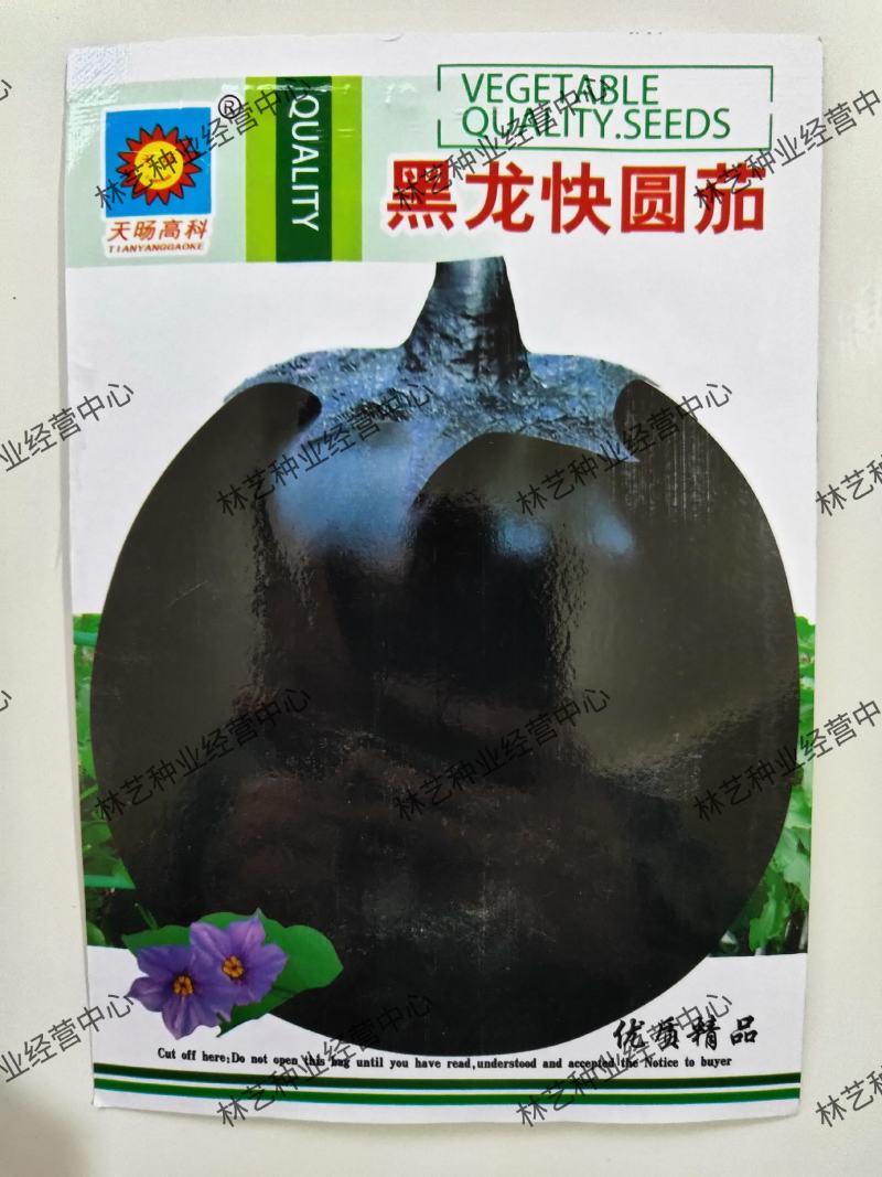 黑圆茄种子紫黑圆茄种子黑龙快圆茄蔬菜种子大圆茄子