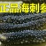 淡干海参小黑刺参辽参滋补：.50只包邮