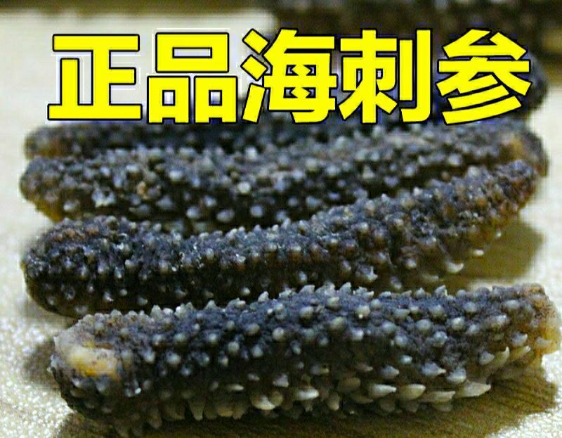 淡干海参小黑刺参辽参滋补：.50只包邮