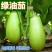 蔬菜种子绿油茄种子青茄子绿茄子早熟肉质疏松阳台盆栽四季播