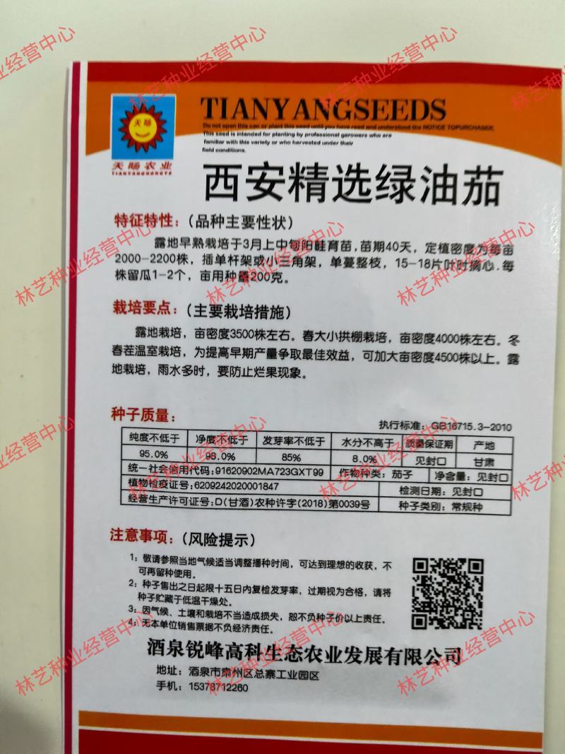 蔬菜种子绿油茄种子青茄子绿茄子早熟肉质疏松阳台盆栽四季播
