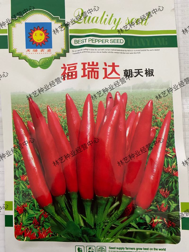 朝天椒种子辣椒种籽小米辣椒高产四季食用盆栽蔬菜种苗孑籽种