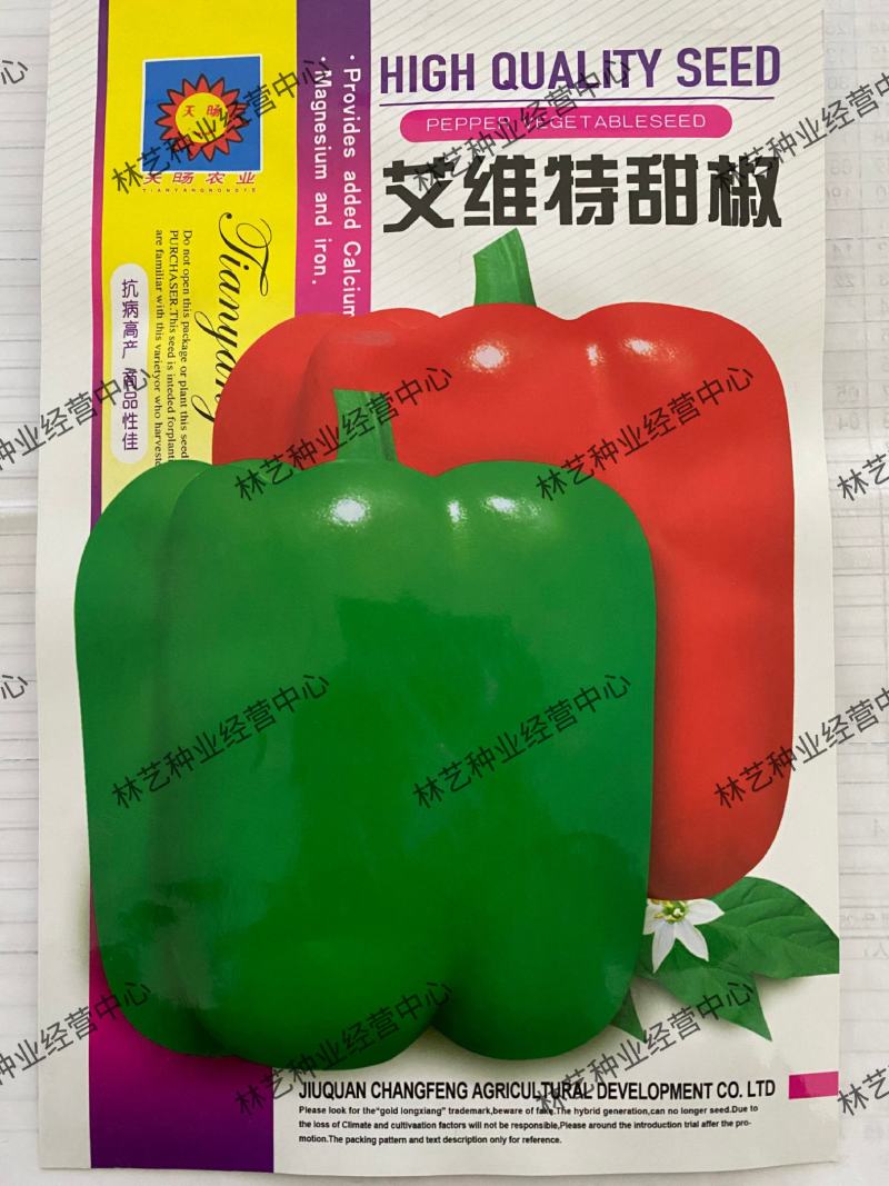 甜椒种子辣椒青椒种籽灯笼红菜椒蔬菜阳台盆栽南方种高产易种