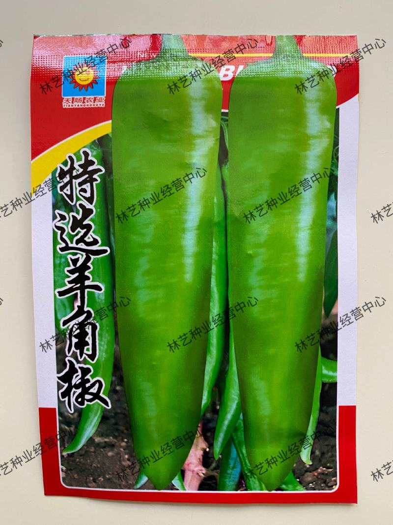 羊角椒种子辣椒种子四季蔬菜种子阳台庭院盆栽植物高产