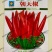 辣椒种子朝天椒种籽超辣小米椒高产天鹰椒春季四季蔬菜种孑