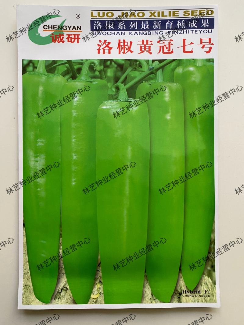 洛椒黄冠七号大果型羊角椒种子黄皮中辣耐热早熟高产辣椒籽